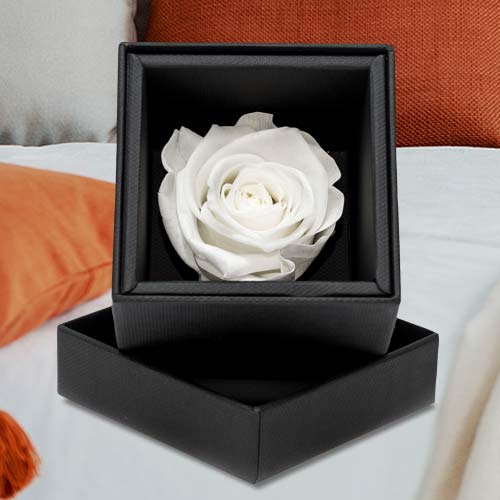 Preserved Redbox Rose In A Box-Best Forever Roses