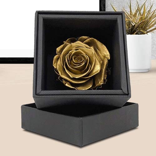 Preserved Golden Rose In A Box-Long Lasting Roses