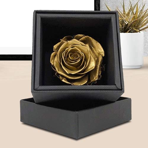 Preserved Golden Rose In A Box