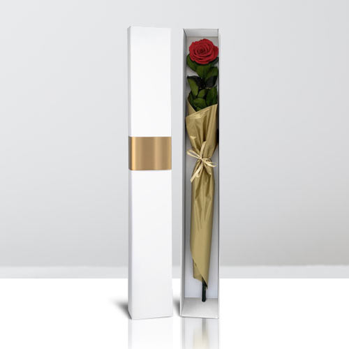 Long Stem Preserved Rose-Forever Lasting Roses