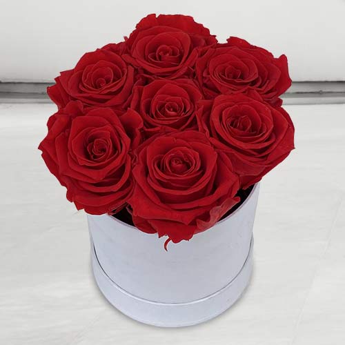 7 Preserved Red Rose In A Box