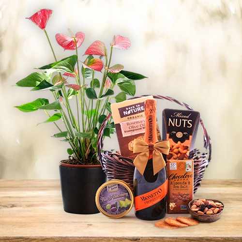 Anthurium And Gourmet Basket
