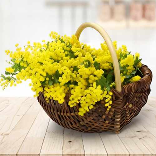 Classic Mimosa Arrangement