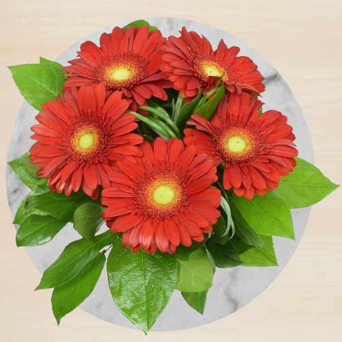Red Gerberas Bouquet-Best Flowers For Birthday