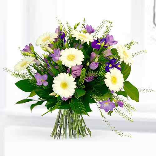 Gerberas And Blue Iris-Congratulations Bouquet Delivery
