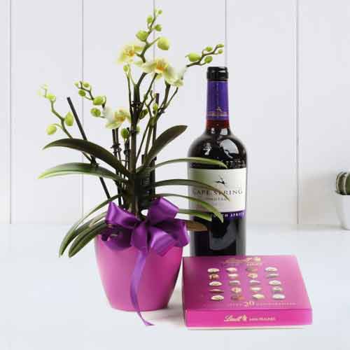 Orchid Flower Gift With Sweets And Wine