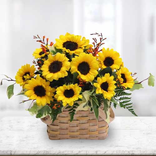 Midnight Sun With Sweet Flowers-Get Well Send Flowers