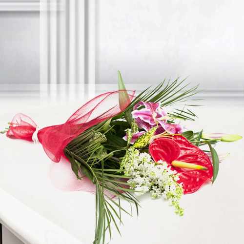 Anthurium Flower-Birthday Gifts For Mom