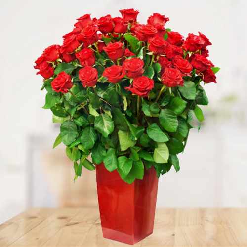 Bouquet Of 50 Red Roses-Send Long Stem Roses