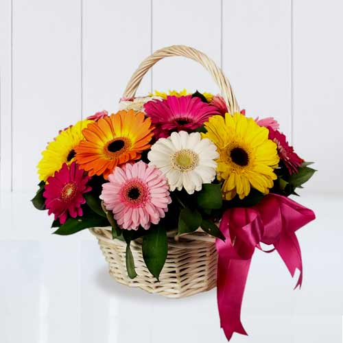 Colourful Gerberas In A Basket-Gerbera Flowers Send Online