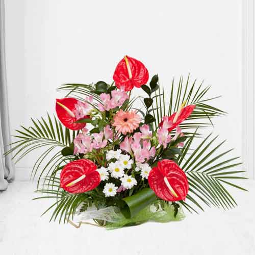 Arrangement Of Red, Pink N White Flowers-Send Flowers To Memorial Service