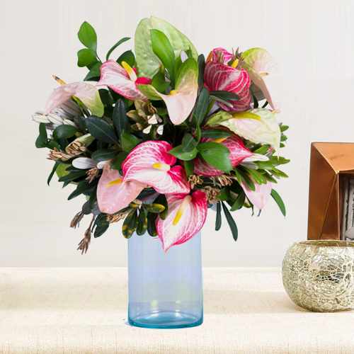 Pink Anthurium Flowers-Romantic Flowers For Girlfriend