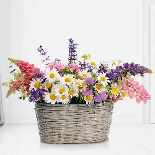 Spring Flowers In A Basket-Online Flowers For Sister