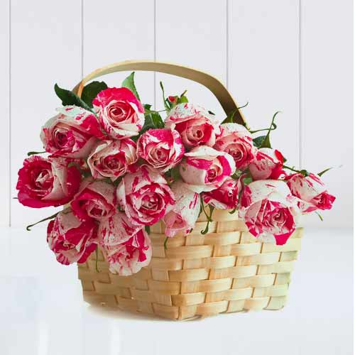 White Roses Tinged With Pink In A Basket-Roses For Girlfriend