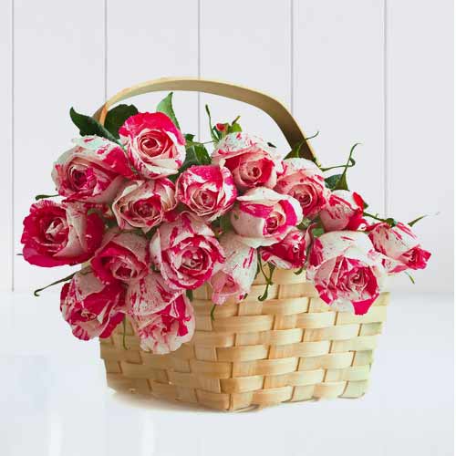 Online Flower Delivery Italy Send Flowers to Italy