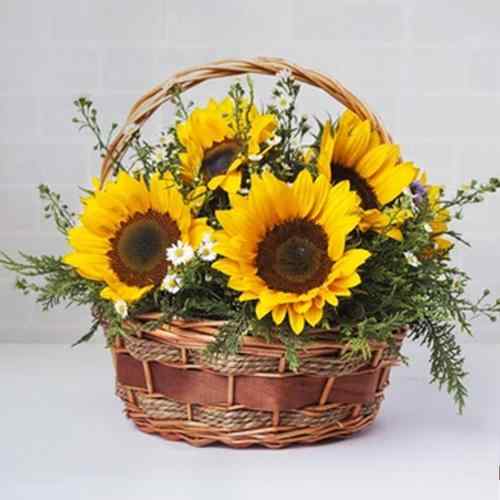 Blissful Sunflower Basket-Best Gifts For Bride From Groom