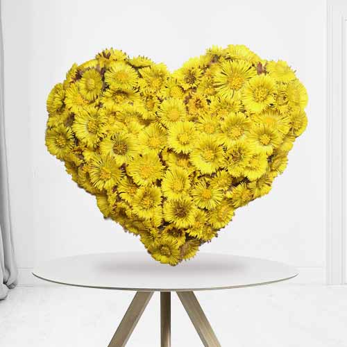 Yellow Gerberas-HeartShaped Funeral Arrangement
