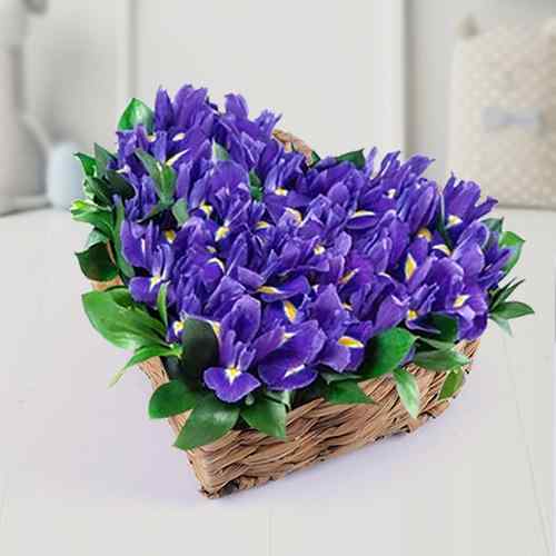 - Iris Flower Delivery Italy