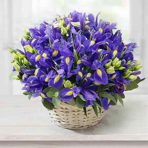 Colorful Iris Basket