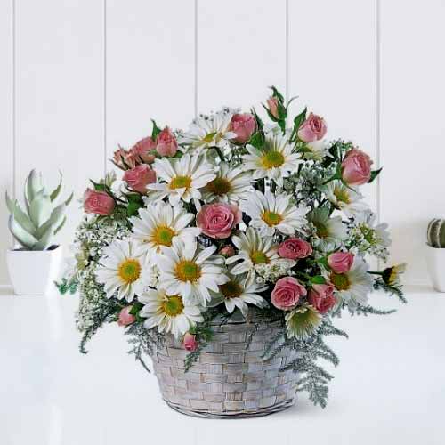 Daisy Roses Basket