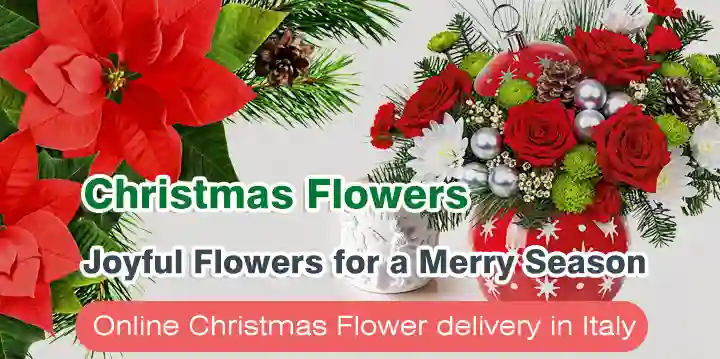 Christmas Flowers Italy
