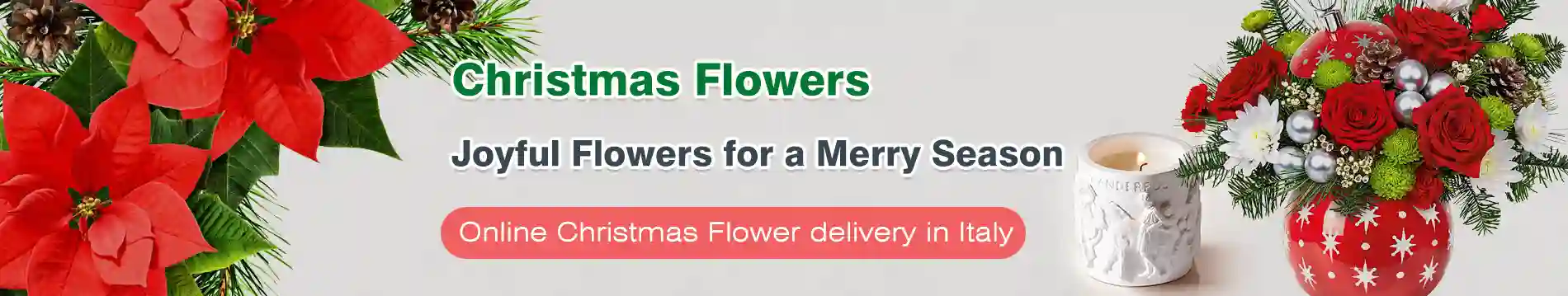 Christmas Flowers Italy